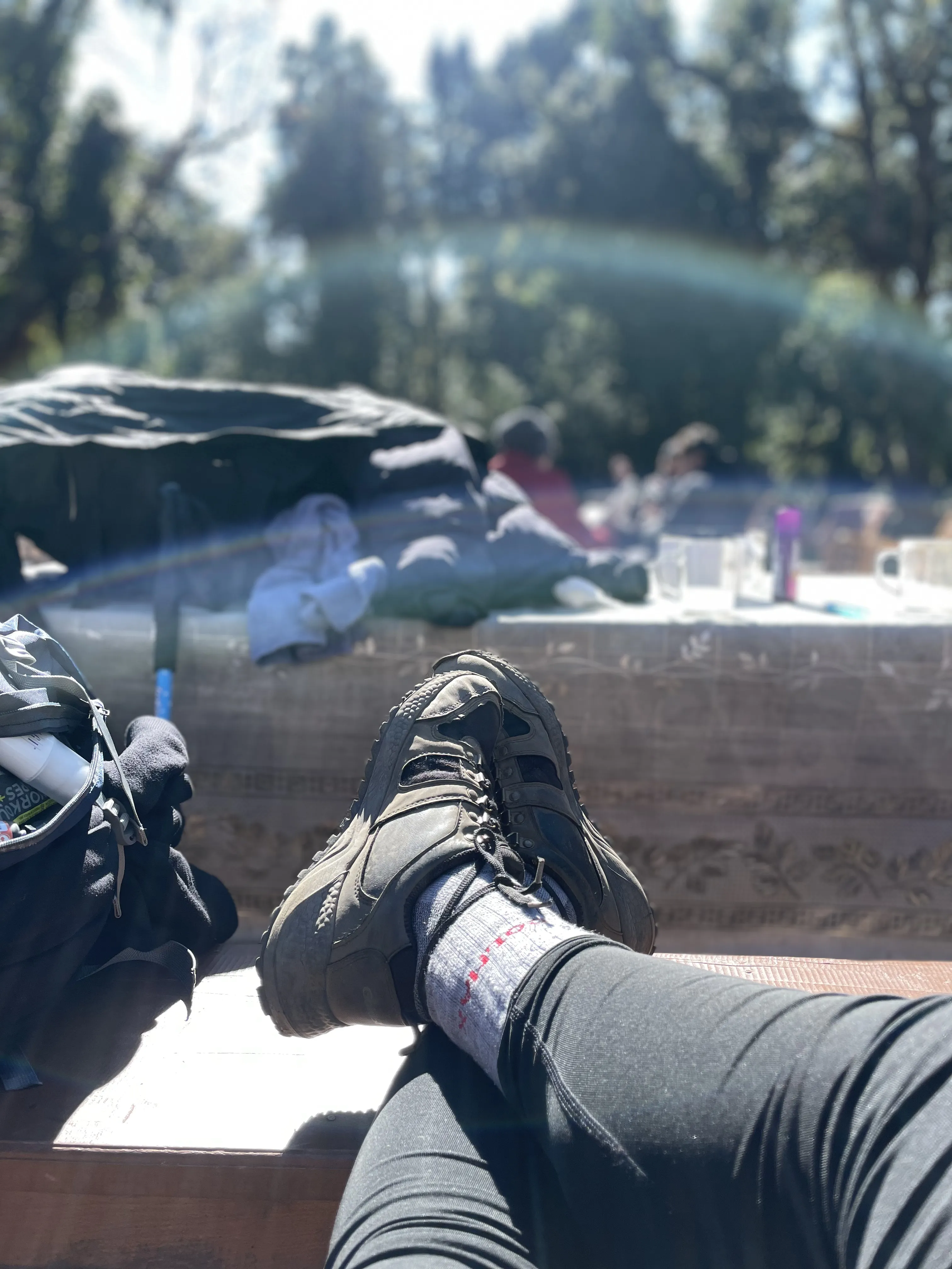 Forest Camp rest stop